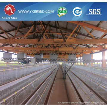Poultry Equipment Chicken Layer Cage